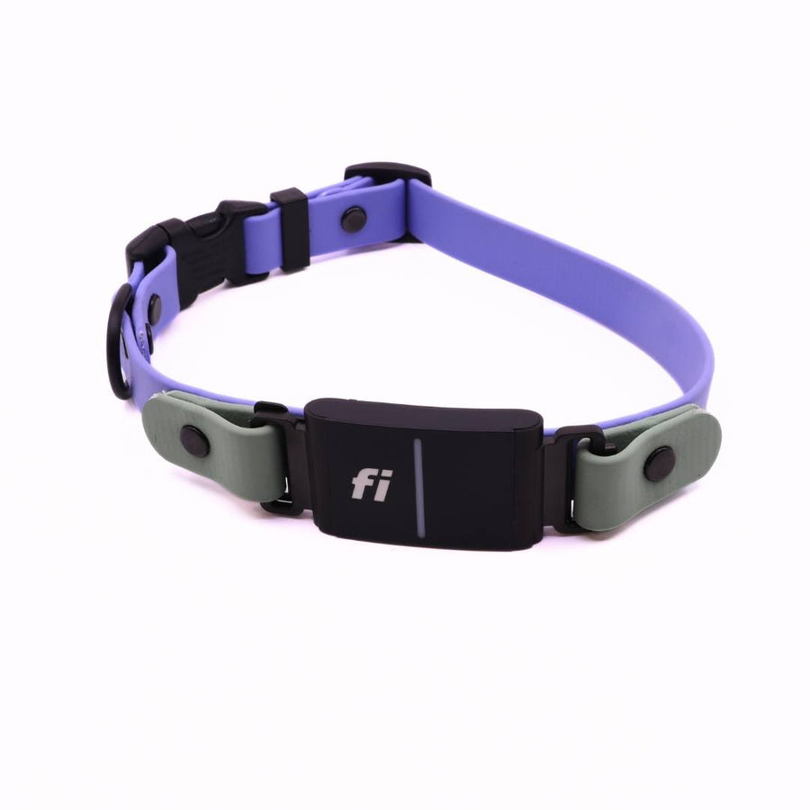 Pre Made Sport Fi Series 3 Layered Collar - 3/4" width - Large (Fits 15-17") Periwinkle with Sage