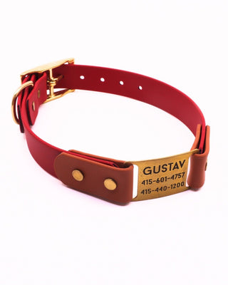 BioThane ID Tag Collar - Classic Brass
