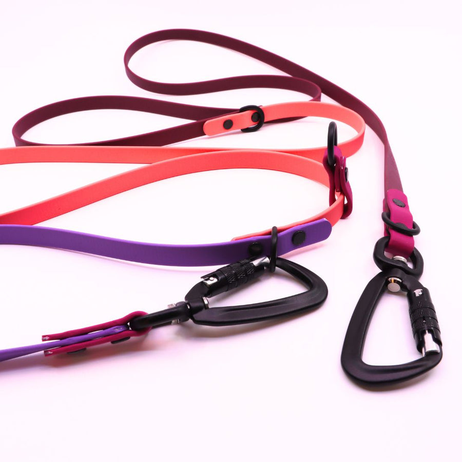 Hands Free + Convertible LOVE Leash