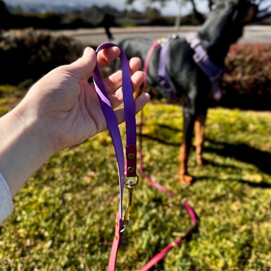 Hands Free + Convertible LOVE Leash