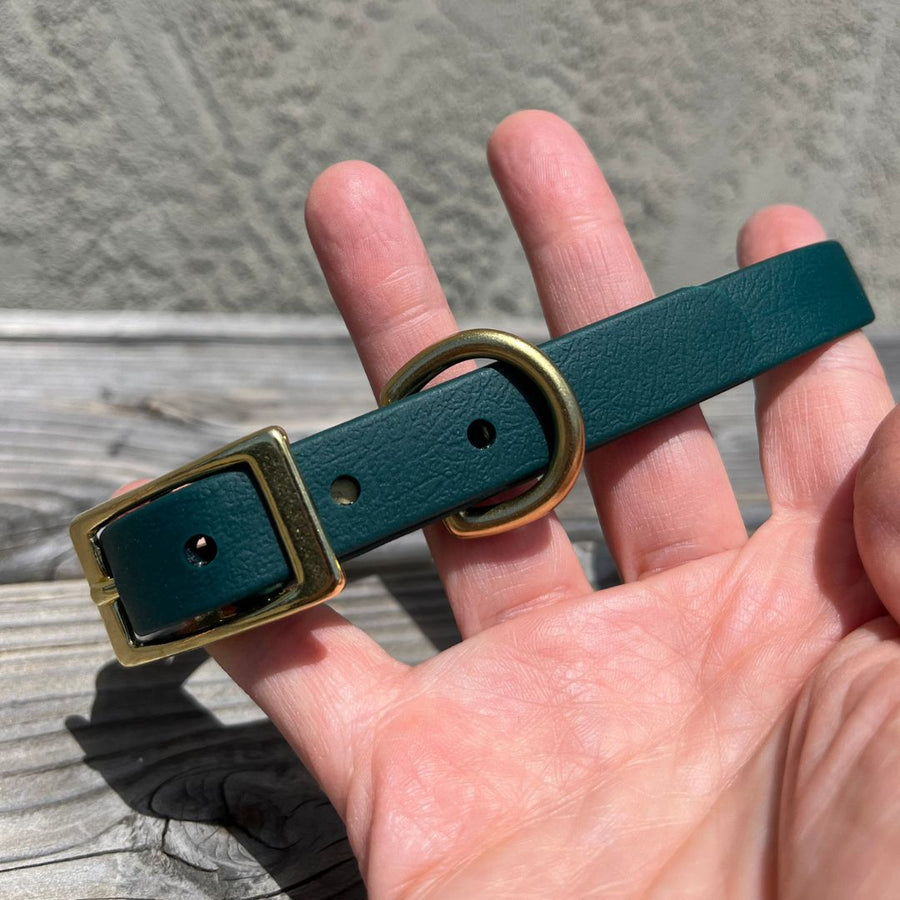 forest green biothane collar for dogs in persons hand