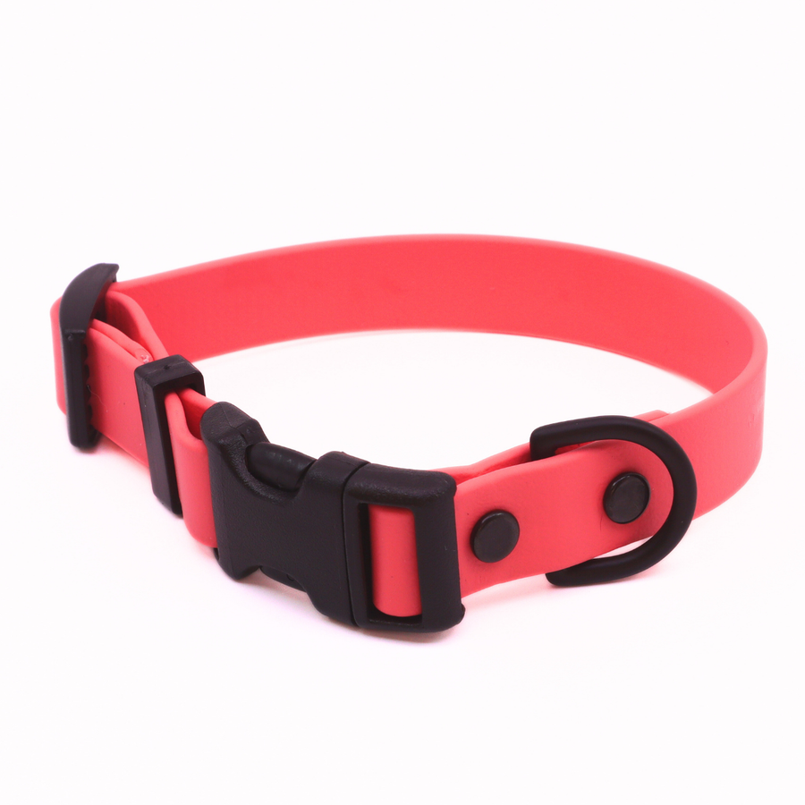 Pre Made Sport Collar - 3/4" Width - Small (Fits 9-11") - Coral