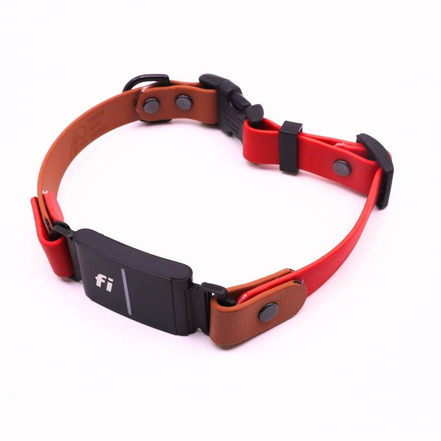 Pre Made Sport Fi Series 3 Integrated Collar - 3/4" width - Medium (Fits 15-17") - Caramel with Red