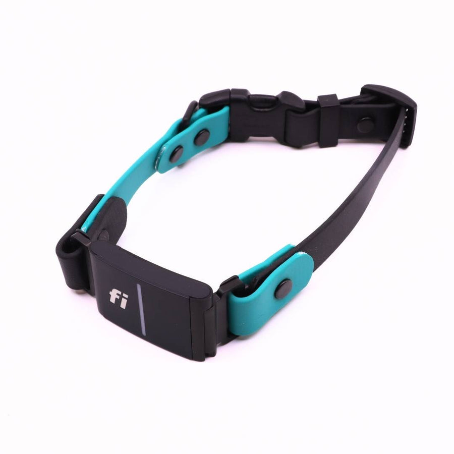 Pre Made Sport Fi Series 3 Integrated Collar - 3/4" width - Small (Fits 13-15") Teal with Black