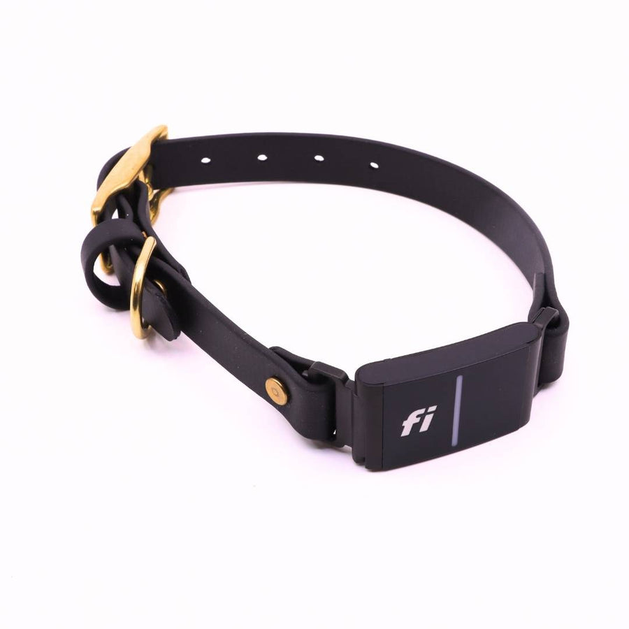 Pre Made Brass Fi Series 3 Integrated Collar - 3/4" Width - Medium (Fits 12-16") - Black with Black Strap Keeper