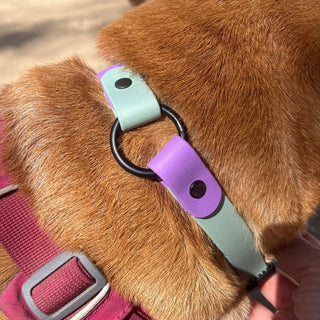 BioThane O Ring Collar - Sport (Quick Release Buckle)