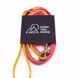 Pre Made Custom Leash - Brass - Small (3/8") - 5 ft - Coral with Goldenrod - Traffic Handle at 24" - D-Ring on Handle