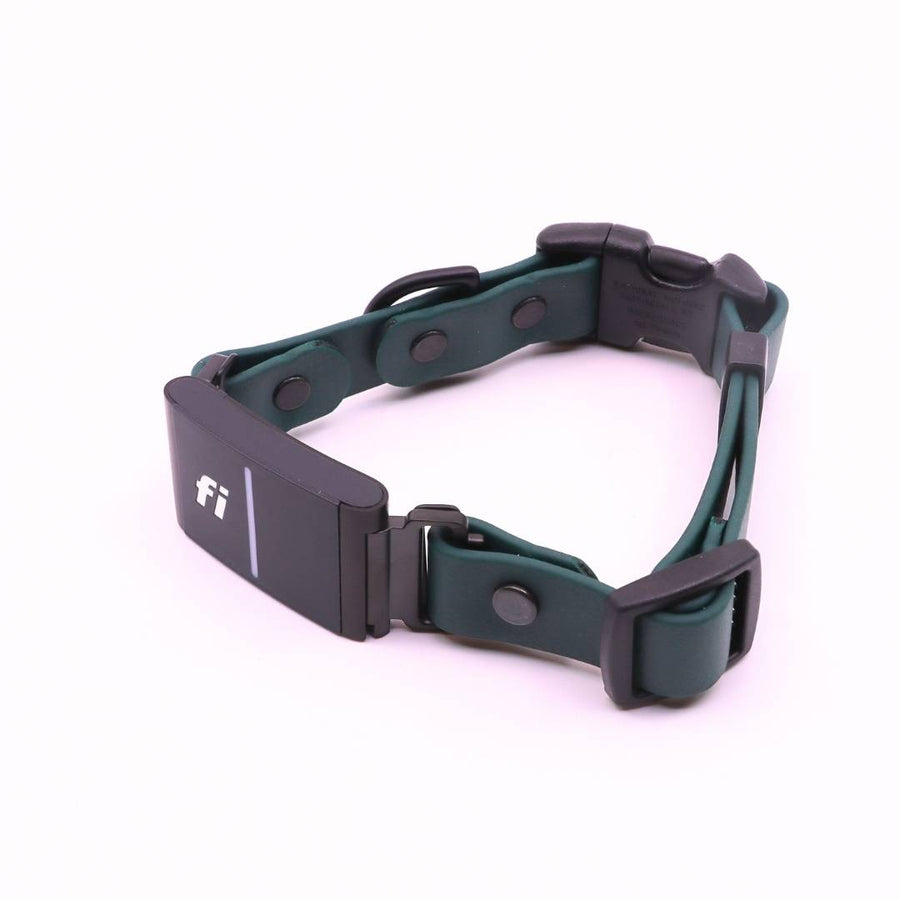 Pre Made Sport Fi Series 3 Integrated Collar - 3/4" width - Fits 12-13" - Forest Green - *Non-Standard Length