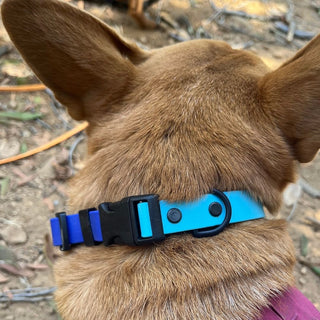 BioThane O Ring Collar - Sport (Quick Release Buckle)