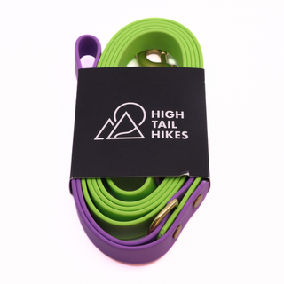 Pre Made Custom Brass Leash - Large (3/4") - 6 ft - Green Apple with Lavender - D-Ring