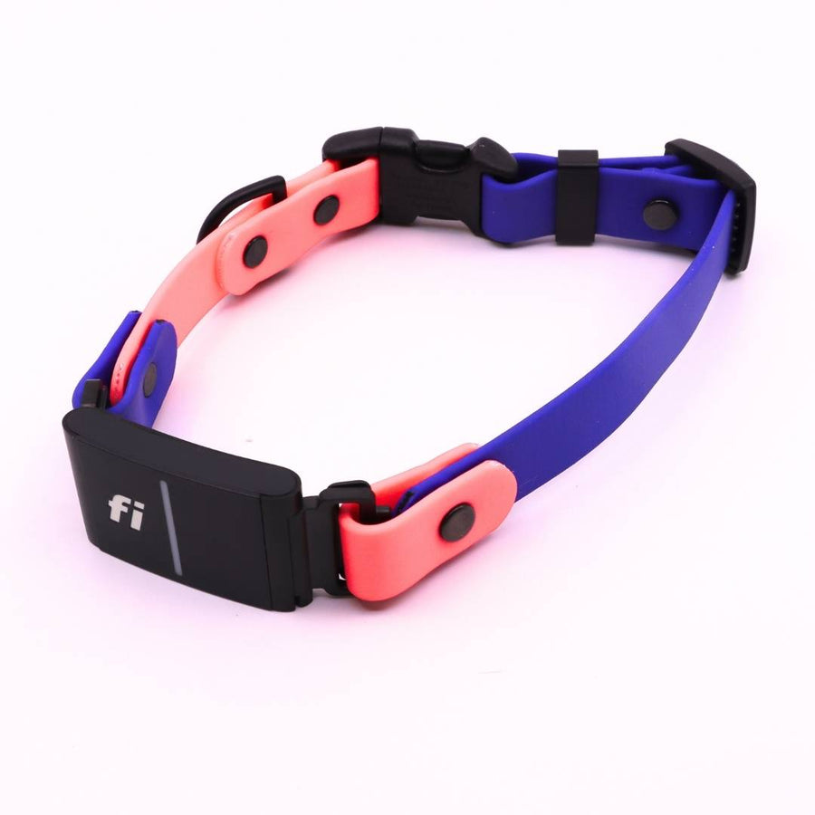 Pre Made Sport Fi Series 3 Integrated Collar - 3/4" width - Fits 14-16" - Flamingo with Blueberry  **Non-Standard Length