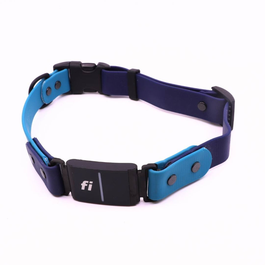 Pre Made Sport Fi Series 3 Integrated Collar - 1" width - Large (Fits 17-20") Ocean with Midnight