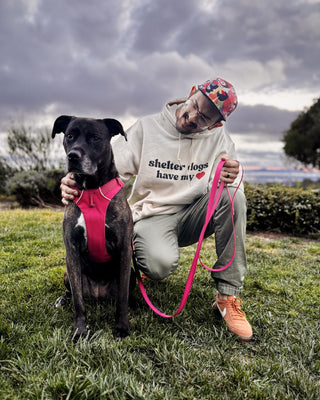 Shelter Dogs Have My Heart Hoodie