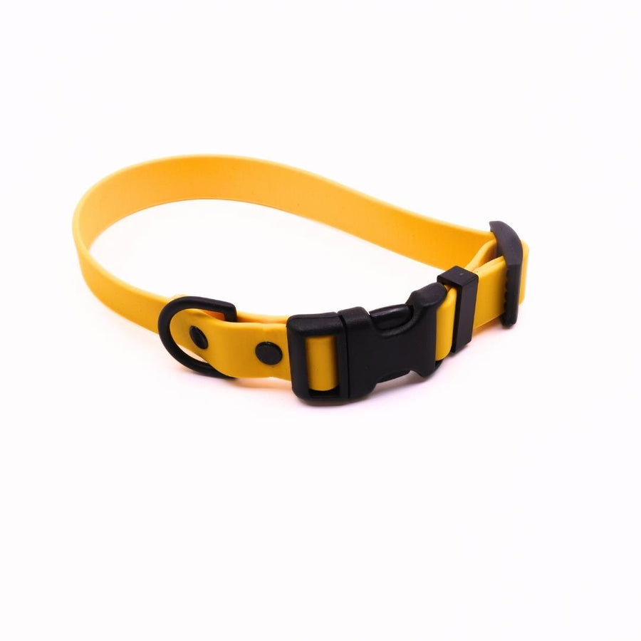 Pre Made Sport Collar - 3/4" Width - Medium (Fits 12-16") - Goldenrod