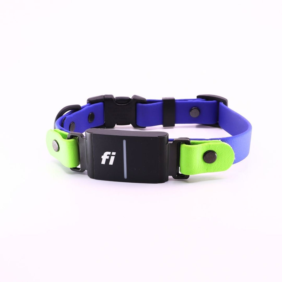 Pre made Fi Series 3 Sport Layered Collar - 3/4" width - Medium (13" - 15") Blueberry with Green Apple end link accents
