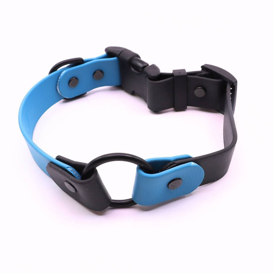 Pre Made Sport O-Ring Collar - 1" Width - Medium (Fits 15-17") - Ocean with Black