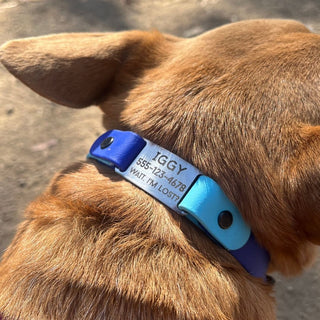 BioThane ID Tag Collar - Sport (Quick Release Buckle)