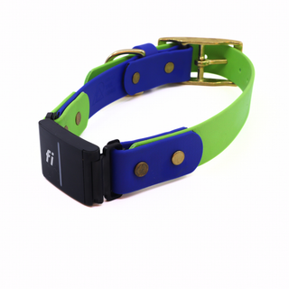 Pre Made Fi Series 3/3+ Integrated Brass Collar - 1" Width - Large (Fits 15-20") - Blueberry with Green Apple + Blueberry Strap Keeper