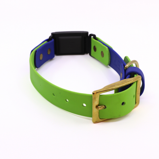 Pre Made Fi Series 3/3+ Integrated Brass Collar - 1" Width - Large (Fits 15-20") - Blueberry with Green Apple + Blueberry Strap Keeper