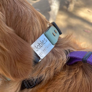 BioThane ID Tag Collar - Sport (Quick Release Buckle)