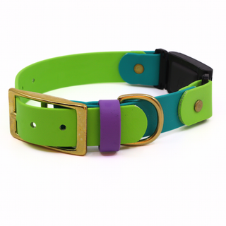 Pre Made Fi Series 3/3+ Integrated Brass Collar - 1" Width - Medium (Fits 12-16") - Teal with Green Apple + Lavender Strap Keeper