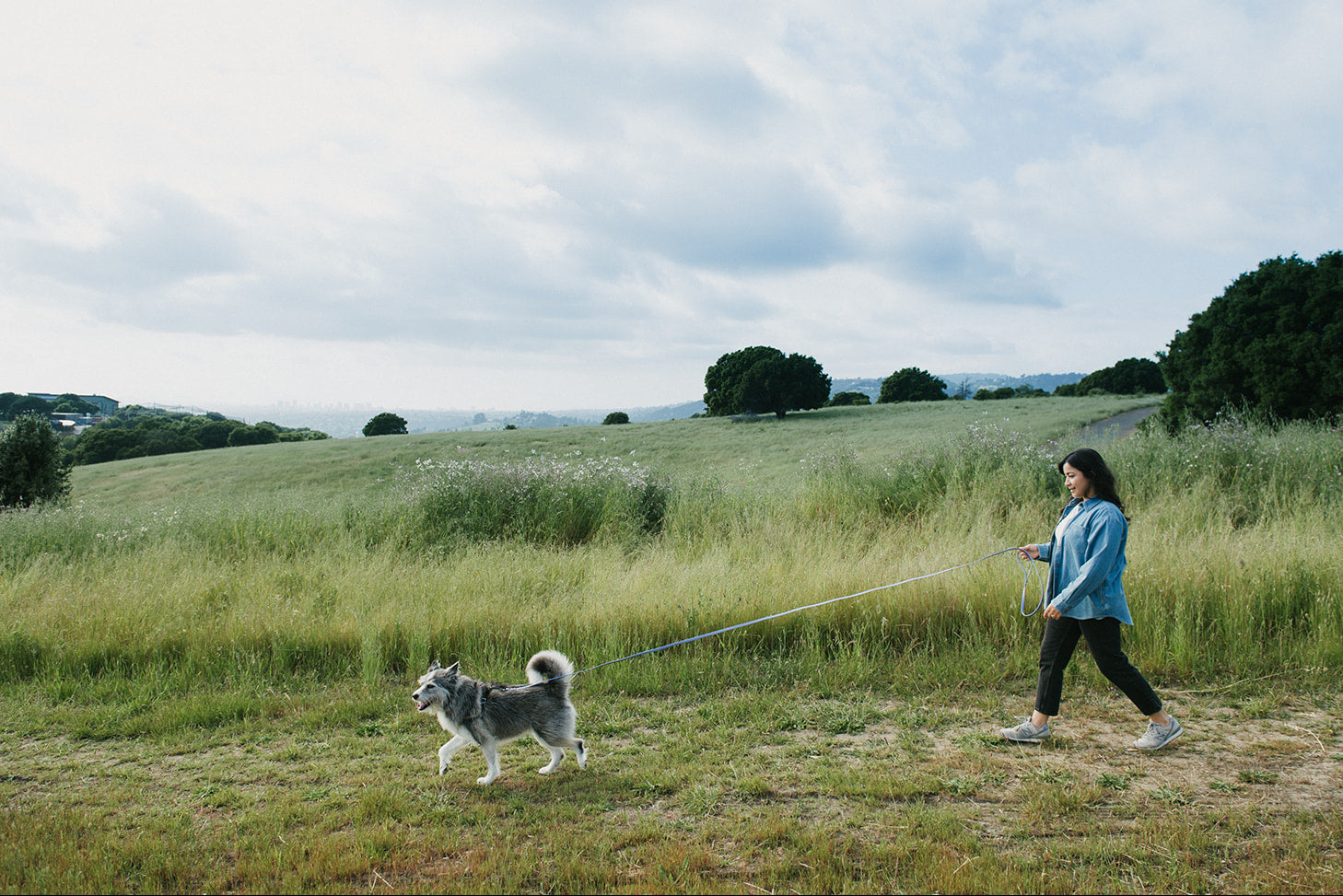 Person walking a dog in a grassy field with a cloudy sky