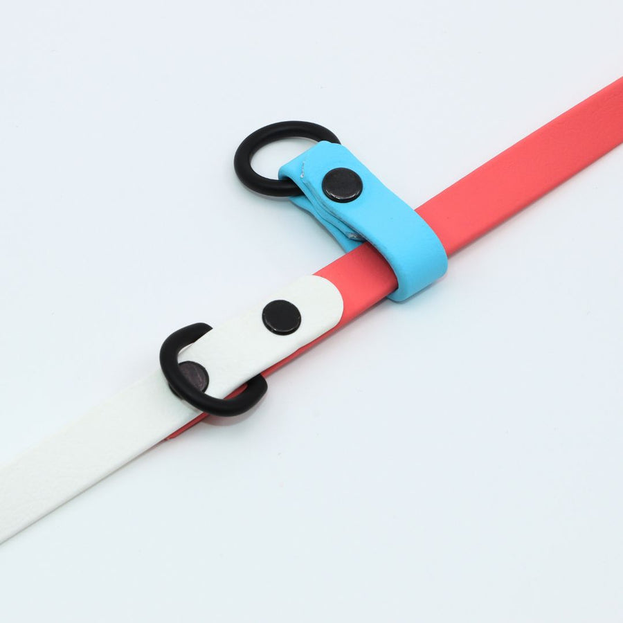 BioThane Trans Pride and Joy Leash