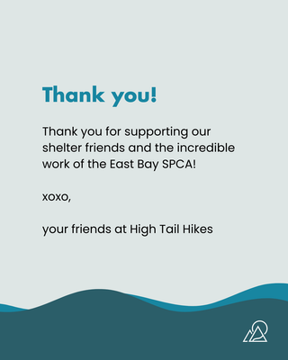 Donate to Our Holiday Fundraiser for the East Bay SPCA (2025)