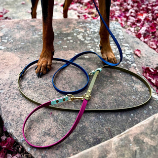 Fall Multiway Hands Free Leash