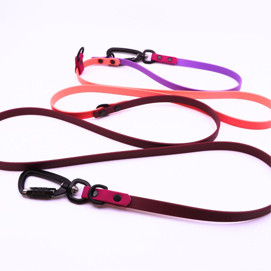 Hands Free + Convertible LOVE Leash