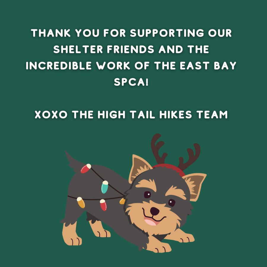 Donate to Our Holiday Fundraiser to the East Bay SPCA!