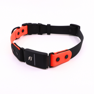 Pre Made Fi Series 3/3+ Integrated Sport Collar - 1" Width - Extra Large (Fits 20-25") - Persimmon with Black