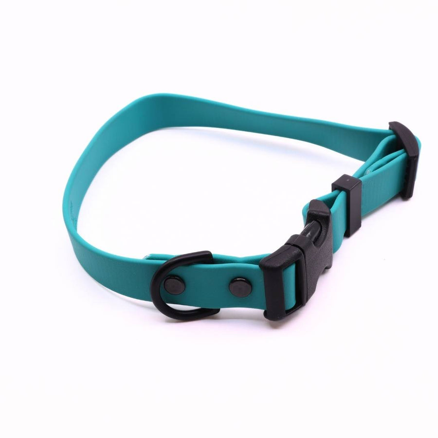 Pre Made Sport Collar - 3/4" Width - Medium (Fits 12-16") - Teal