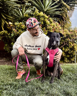 Shelter Dogs Have My Heart Hoodie