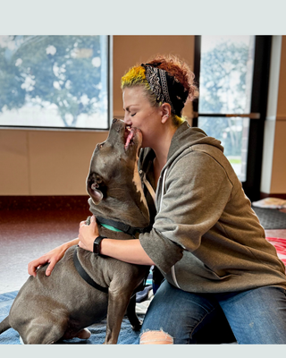 Donate to Our Holiday Fundraiser for the East Bay SPCA (2025)