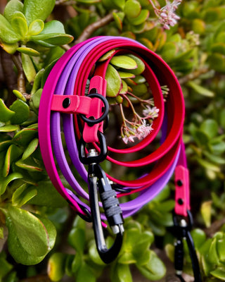 2026 Limited Edition Multiway Hands Free Love Leash