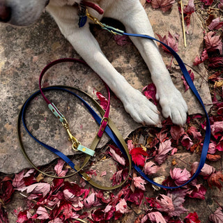 Fall Multiway Hands Free Leash