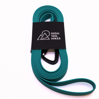 Pre Made Quick Ship Sport Long Line - Large (3/4") - 10 ft- Teal