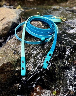 2026 Water Dog Limited Edition Hands Free + Convertible Leash