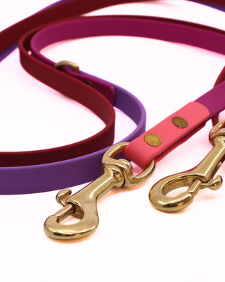 2026 Limited Edition Multiway Hands Free Love Leash