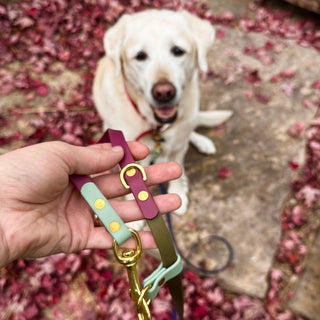 Fall Multiway Hands Free Leash