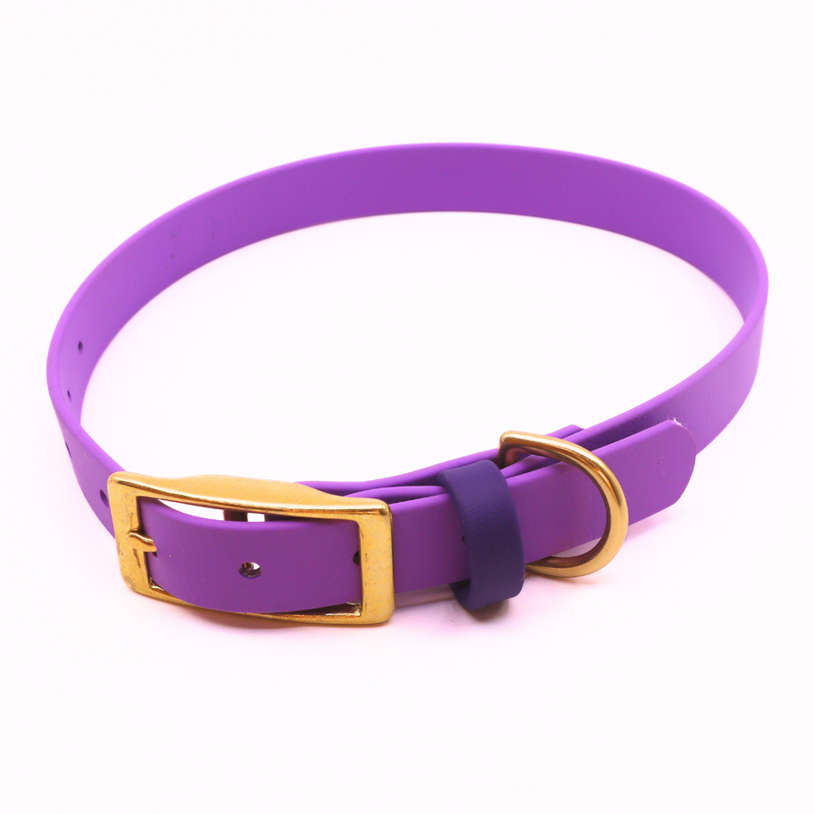 Pre Made Brass Collar - 3/4" Width - Large (Fits 15-20") - Lavender with Violet Keeper Strap