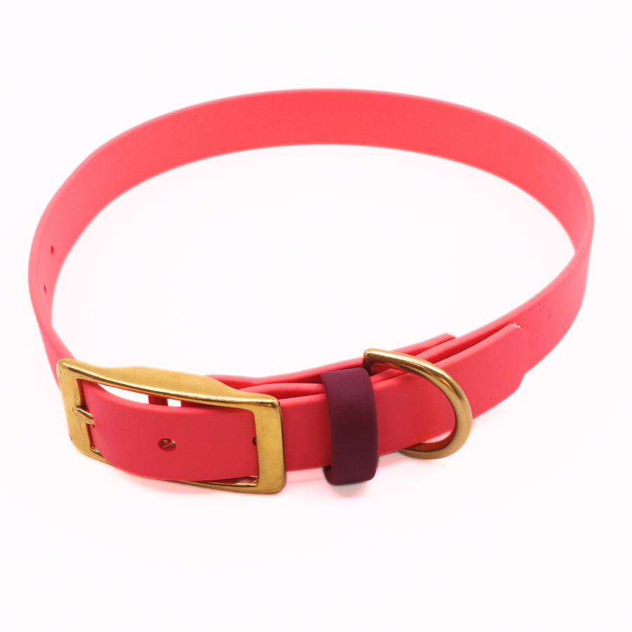 Pre Made Brass Collar - 3/4" Width - Large (Fits 15-20") - Coral with Plum Keeper Strap