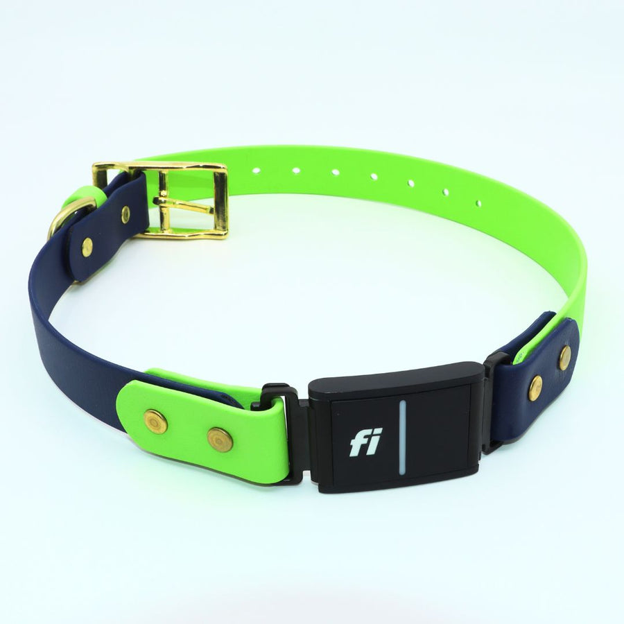 green and blue biothane collar with brass hardware to use for the Fi Series 3
