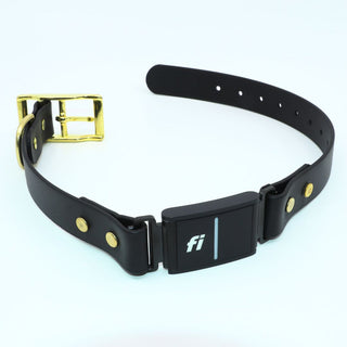 black biothane collar with brass hardward to fit the Fi Series 3