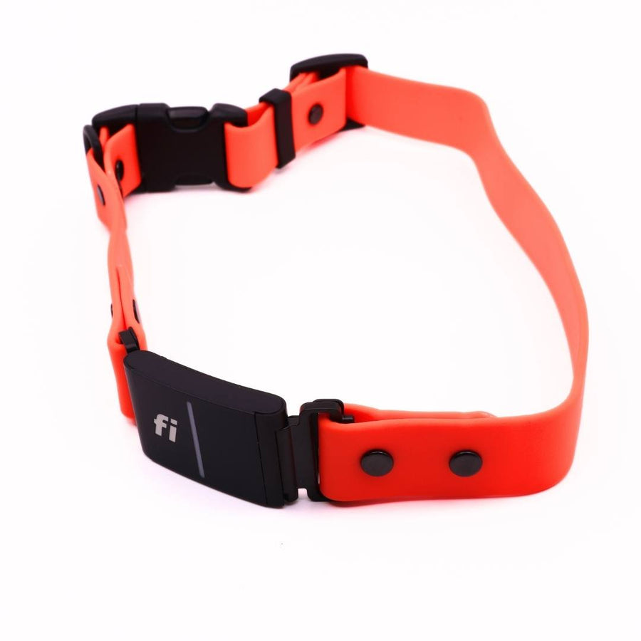 Pre Made Sport Fi Series 3 Integrated Collar - 1" width - Extra Large (Fits 20-25") - Persimmon