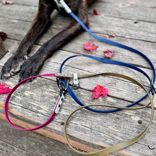 Fall Multiway Hands Free Leash