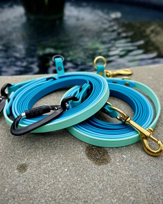 2026 Water Dog Limited Edition Hands Free + Convertible Leash