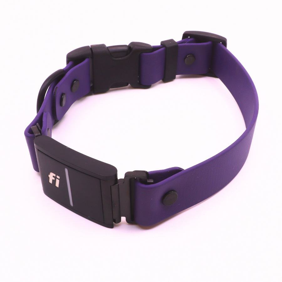 Pre Made Sport Fi Series 3 Integrated Collar - 1" Width - Medium (Fits 15-17") - Violet