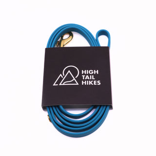 Pre Made Quick Ship Leash - Brass - Small (3/8") - 4 ft - Ocean